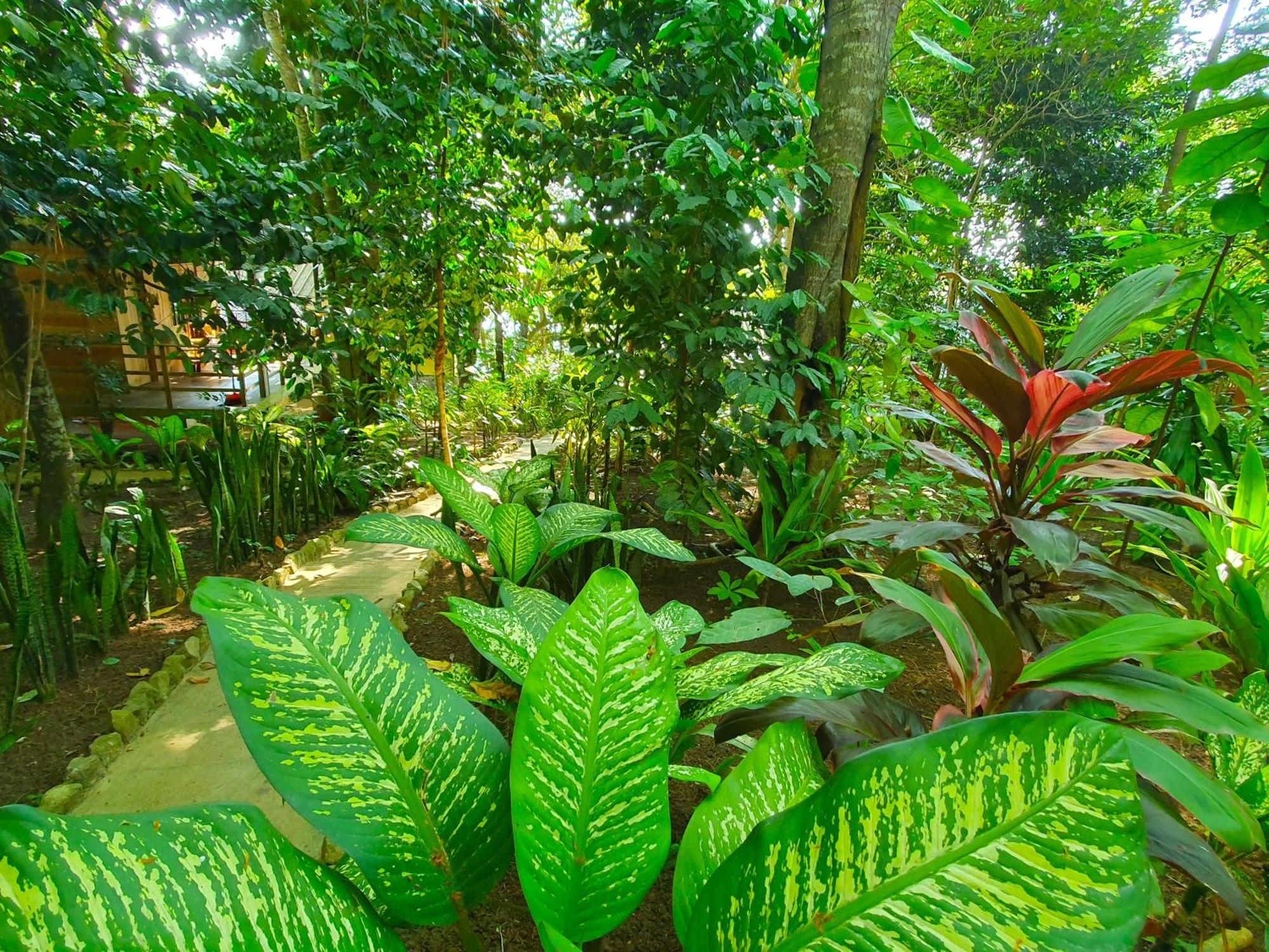 Santi Garden Bungalows Iboih Экстерьер фото